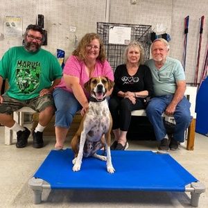 Meet your Posher, Brenda